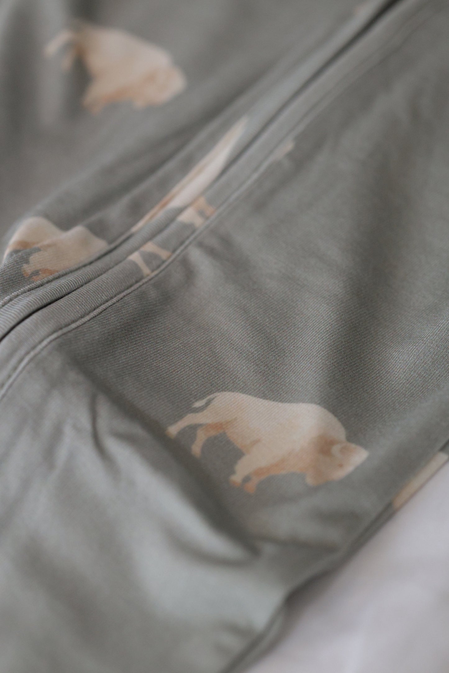 Bison Two Piece Pajamas