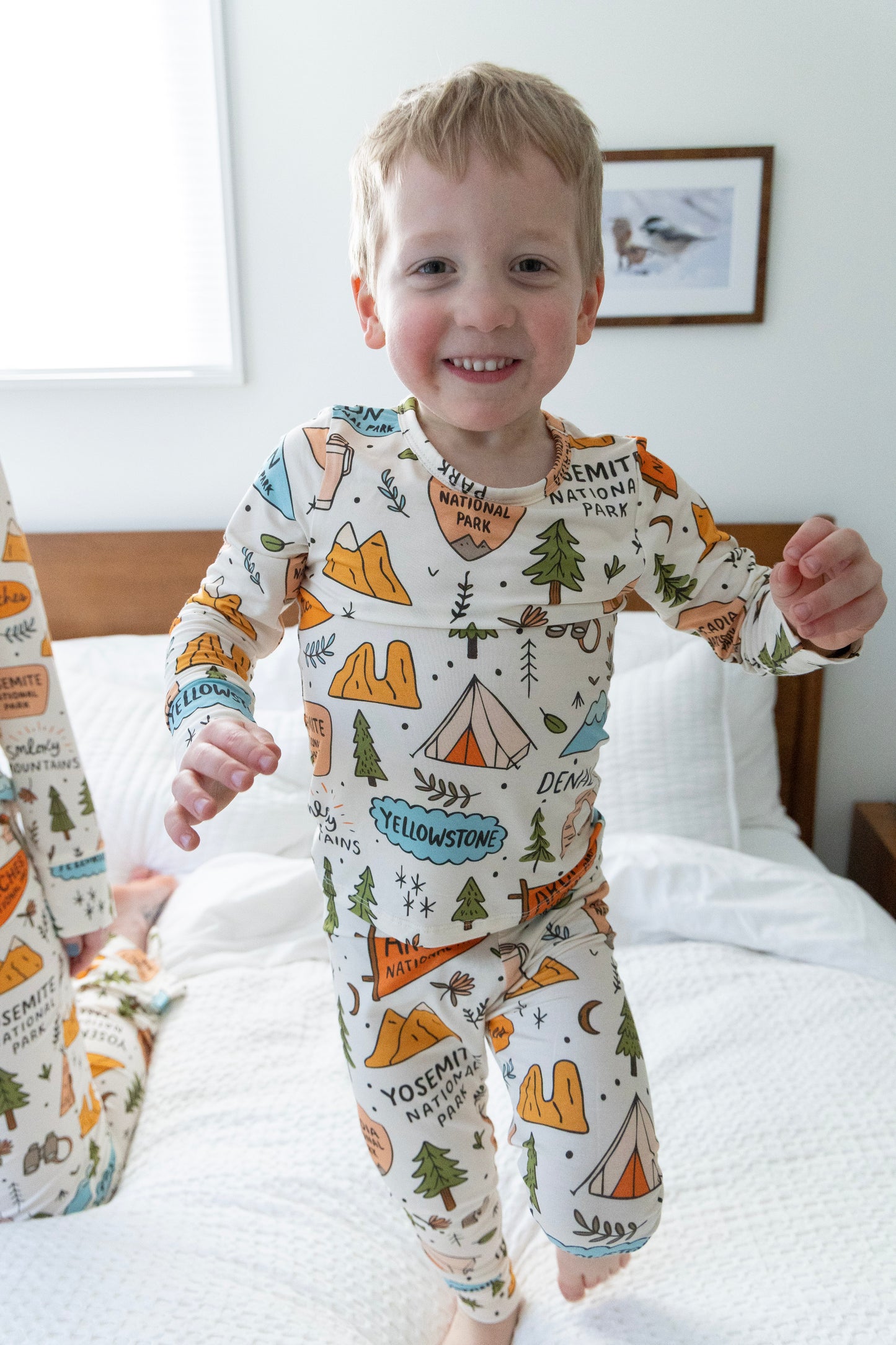 National Park Two Piece Pajamas